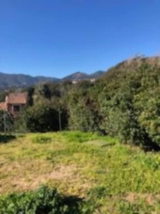 Villa En Corse Du Sud Entre Mer Et Montagne Peri Exteriér fotografie